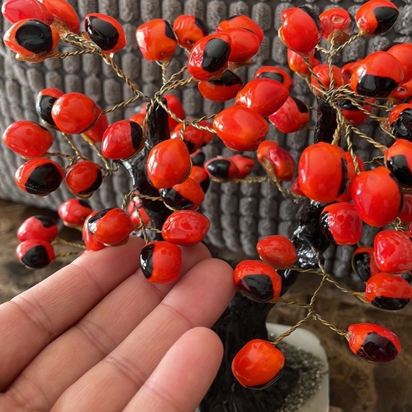 Bonsai - Picture 6 of 7